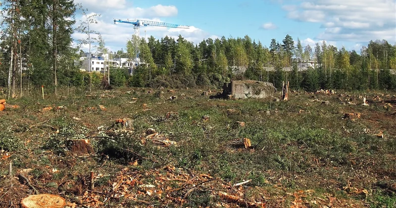 L'impact écologique des enseignes lumineuses