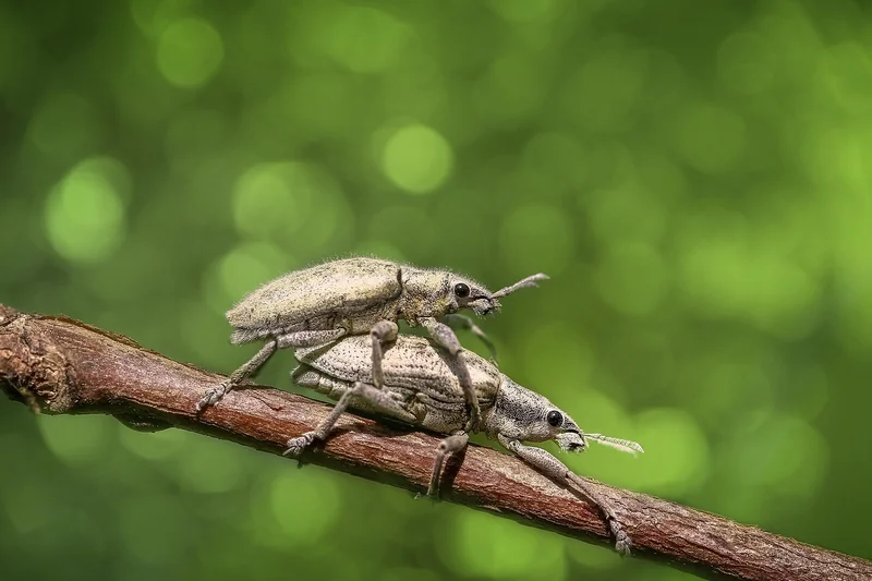 Les bugs et problèmes que j’ai rencontrés (et comment les éviter)