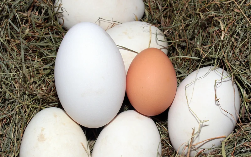 Comparatif des types de solutions : lequel est fait pour vous ?