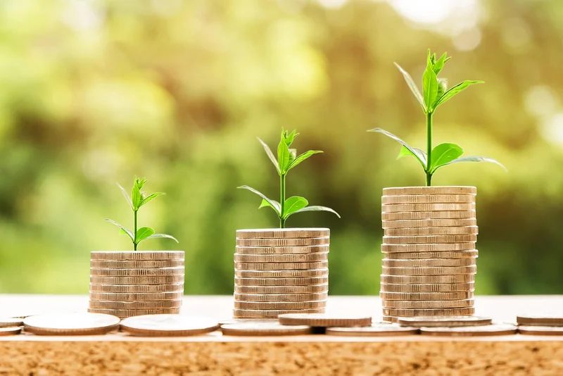 Salaire, bonus et actions : comment il gagne vraiment son argent